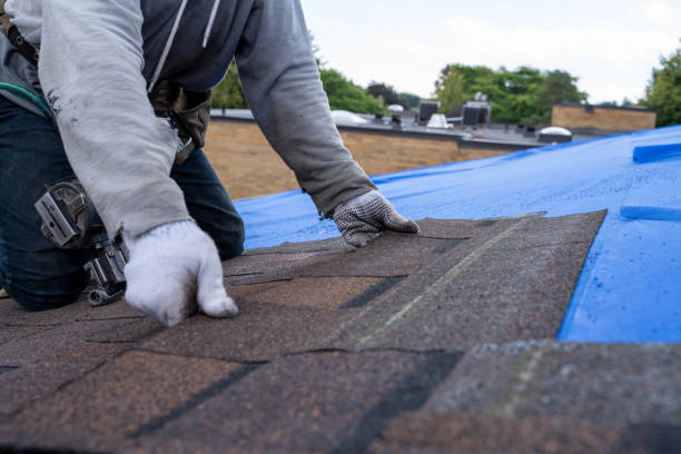 Best Storm Damage Roof Repair  in Joppatowne, MD